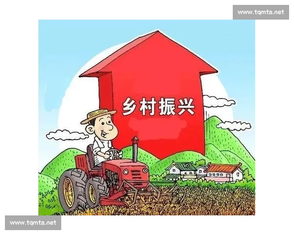 以国家足协为核心推动中国足球改革发展的战略路径与实施方案